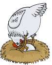 pollo-immagine-animata-0125