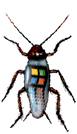scarafaggio-immagine-animata-0009