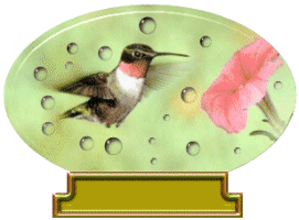 colibri-immagine-animata-0049