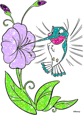colibri-immagine-animata-0055