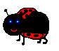 coccinella-immagine-animata-0038