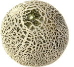 anguria-e-meloni-immagine-animata-0019