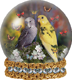 pappagallo-immagine-animata-0126