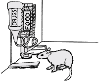 ratto-immagine-animata-0067