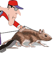 ratto-immagine-animata-0072