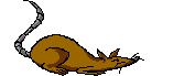 ratto-immagine-animata-0089