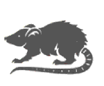 ratto-immagine-animata-0107