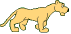 predatore-immagine-animata-0009