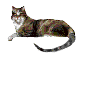 predatore-immagine-animata-0228