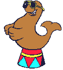 foca-comune-immagine-animata-0034