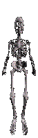 scheletro-immagine-animata-0087