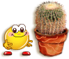 smile-e-smiley-fiore-immagine-animata-0067