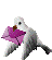 piccione-immagine-animata-0004