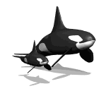 balena-immagine-animata-0027