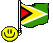 bandiera-guyana-immagine-animata-0003