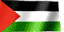 bandiera-palestina-immagine-animata-0001
