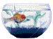acquario-immagine-animata-0022