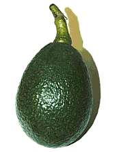 avocado-immagine-animata-0015