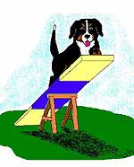bovaro-del-bernese-immagine-animata-0039