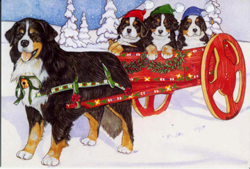 bovaro-del-bernese-immagine-animata-0127