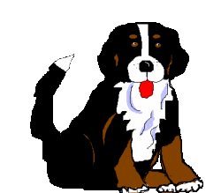 bovaro-del-bernese-immagine-animata-0138