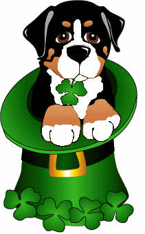 bovaro-del-bernese-immagine-animata-0148