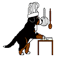 bovaro-del-bernese-immagine-animata-0171