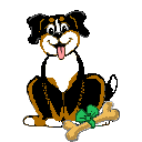 bovaro-del-bernese-immagine-animata-0243